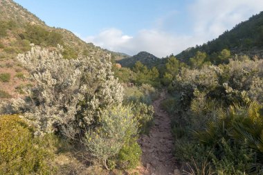Avuç içi benicasim, Costa azahar çöl
