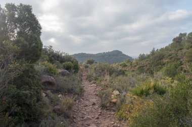 Avuç içi benicasim, Costa azahar çöl