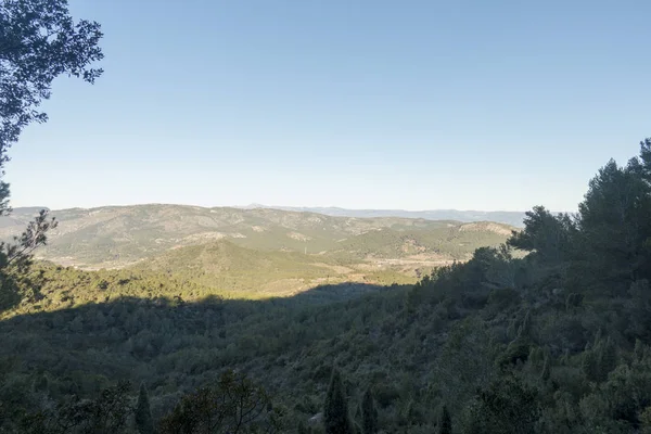 Die wüste der palmen in benicasim, costa azahar — Stockfoto