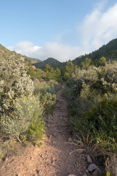 Avuç içi benicasim, Costa azahar çöl