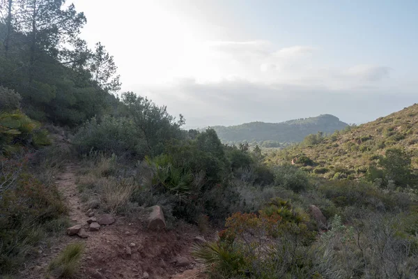 Il deserto delle palme a benicasim, Costa azahar — Foto Stock