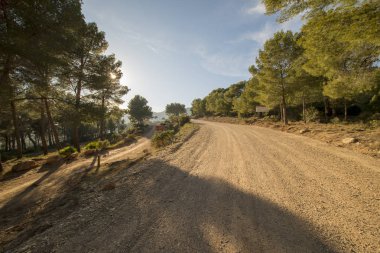 Avuç içi benicasim, Costa azahar çöl