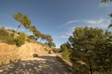 Avuç içi benicasim, Costa azahar çöl