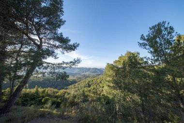 Avuç içi benicasim, Costa azahar çöl