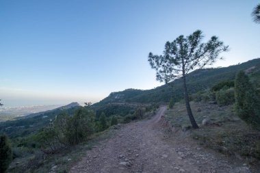 Avuç içi benicasim, Costa azahar çöl