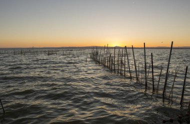 Valencia gölünde günbatımında sakin