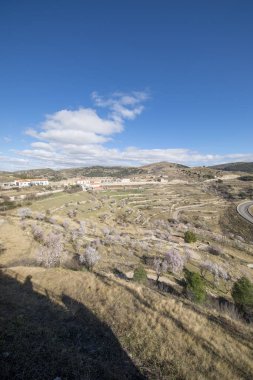Şehir, badem ağaçlarıyla çevrili Morella
