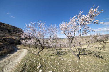 Morella şehir yanındaki dağ yolundan