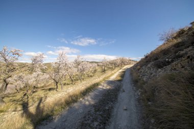 Morella şehir yanındaki dağ yolundan