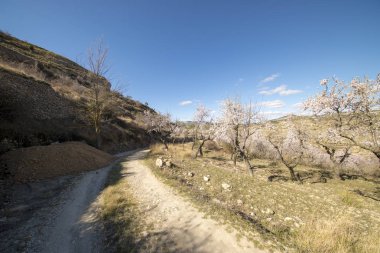 Morella şehir yanındaki dağ yolundan