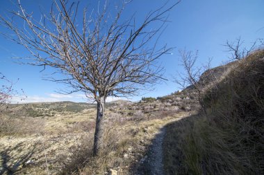 Morella şehir yanındaki dağ yolundan