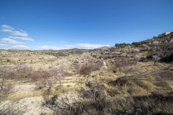 Zona montañosa alrededor de la ciudad de Morella —  Fotos de Stock