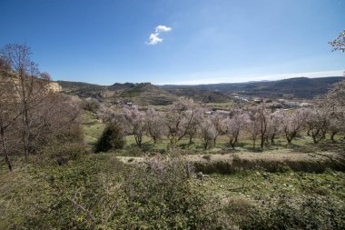Morella şehir yanındaki dağ yolundan