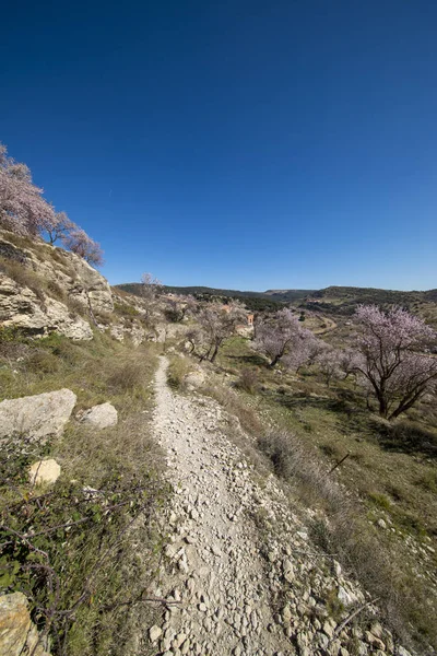Morella şehir yanındaki dağ yolundan