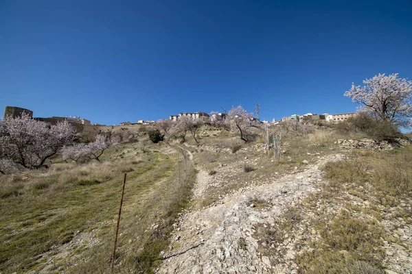 Morella şehir yanındaki dağ yolundan