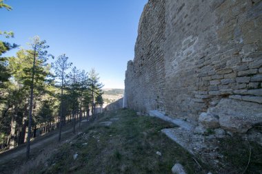Morella kasabası çevresindeki çam ormanları