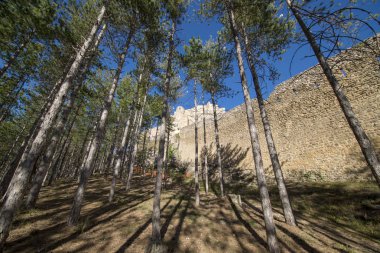 Morella kasabası çevresindeki çam ormanları