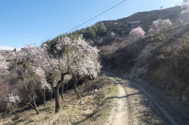Castellon Morella kasabası çevresinde Manzara