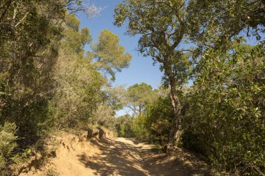 Tossa de Mar'daki Mağribi koyuna giden yol