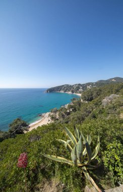 Costa Brava üzerinde Lloret de Mar tarafından sahil