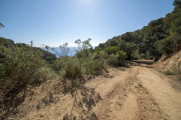 Tossa de Mar Morisca koy, Costa brava olarak