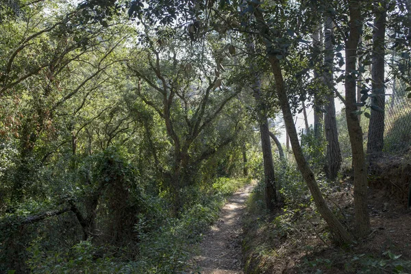 Camino a la cala morisca en Tossa de Mar — Foto de Stock