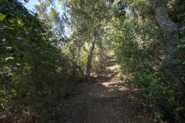 Tossa de Mar Morisca koy, Costa brava olarak