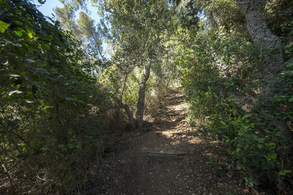 Tossa de Mar Morisca koy, Costa brava olarak