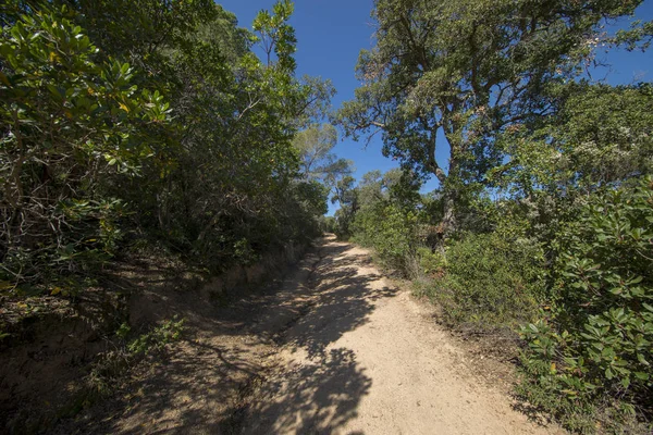 Strada per la baia moresca di Tossa de Mar — Foto Stock