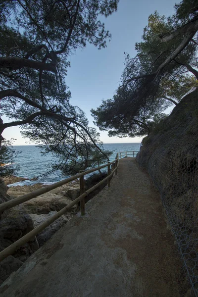 Cala de Sant Francesc in Blanes, Costa Brava — Stock fotografie