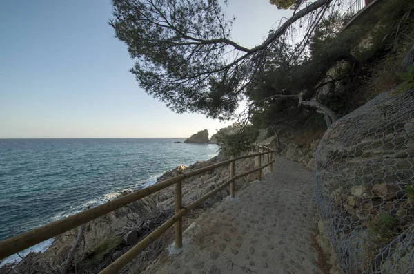 Cala de Sant Francesc en Blanes, Costa Brava —  Fotos de Stock