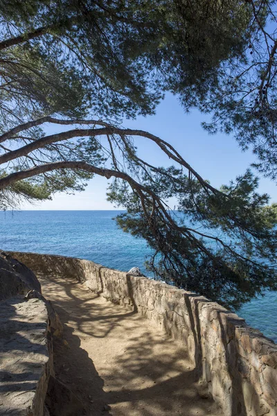 A aldeia de Lloret de Mar ao lado da costa — Fotografia de Stock