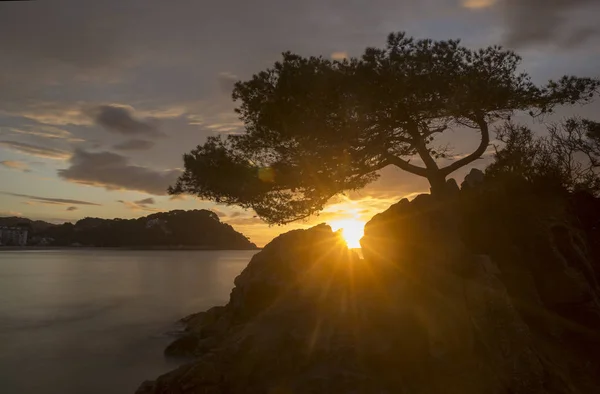 Plage de Fenals à Lloret de Mar au lever du soleil — Photo