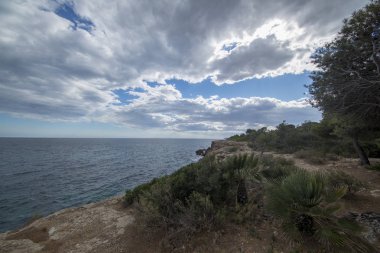 Tarragona darted kıyısında Kalafat deniz