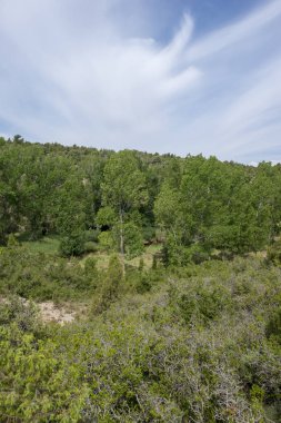Valbona çevresinde yeşil dağlar ve berrak gökyüzü