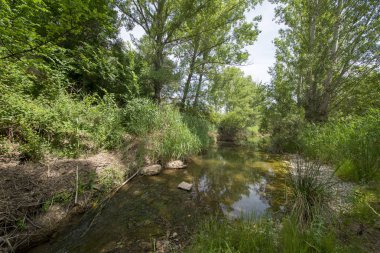Valbona çevresinde yeşil dağlar ve berrak gökyüzü