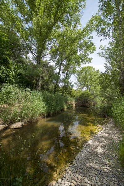 Grüne Berge und klarer Himmel rund um Valbona — Stockfoto