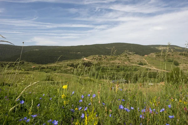 Valdelinares Dağları yaz günü