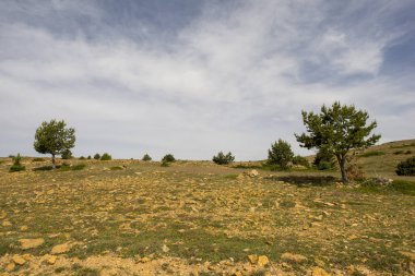 Valdelinares Dağları yaz günü