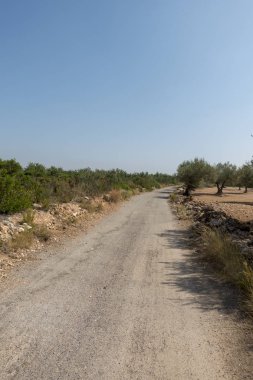 San Mateo 'daki Centennial zeytin ağaçları, Via Augusta de Castellon