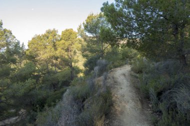 Avuç içi benicasim, Costa azahar çöl