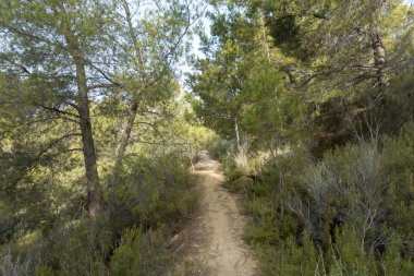 Avuç içi benicasim, Costa azahar çöl