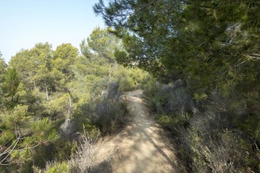 Avuç içi benicasim, Costa azahar çöl
