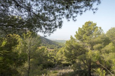 Avuç içi benicasim, Costa azahar çöl