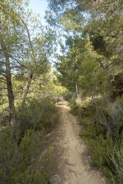 Avuç içi benicasim, Costa azahar çöl