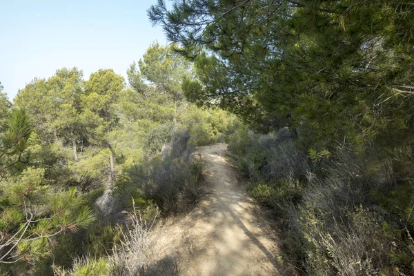 Avuç içi benicasim, Costa azahar çöl
