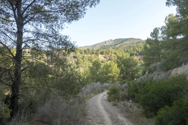 Avuç içi benicasim, Costa azahar çöl