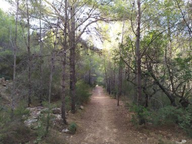 Castellon las palmas çölünün doğal parkı