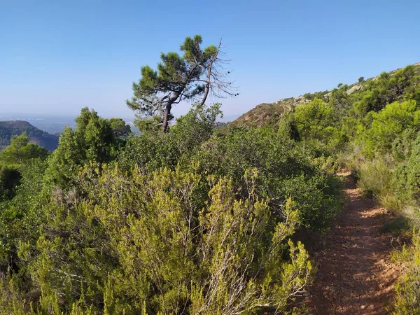 Den naturliga parken i öknen i Las Palmas i Castellon — Stockfoto