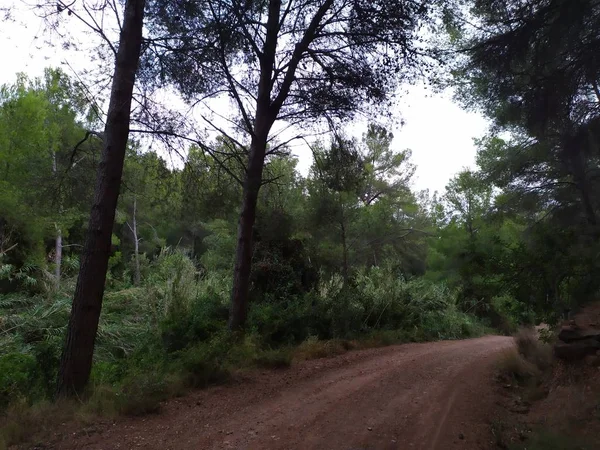 Il parco naturale del deserto di las palmas a Castellon — Foto Stock